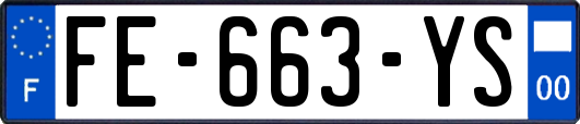 FE-663-YS