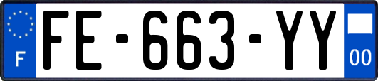 FE-663-YY