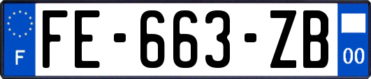 FE-663-ZB