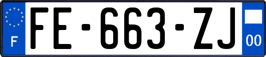 FE-663-ZJ