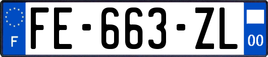 FE-663-ZL