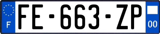 FE-663-ZP