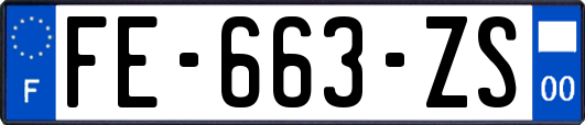 FE-663-ZS