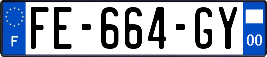 FE-664-GY