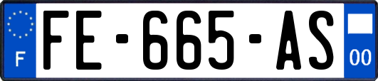 FE-665-AS