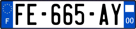 FE-665-AY