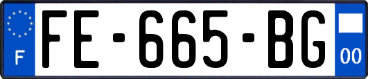 FE-665-BG