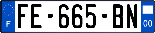 FE-665-BN