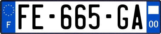 FE-665-GA