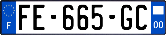 FE-665-GC