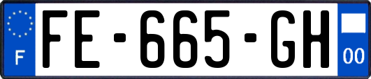 FE-665-GH