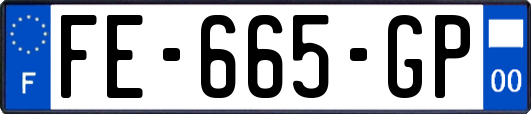 FE-665-GP