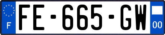 FE-665-GW