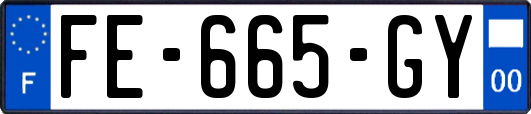 FE-665-GY