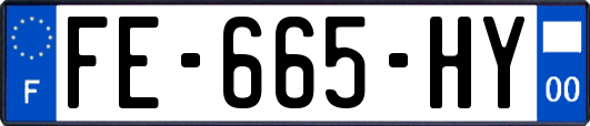 FE-665-HY