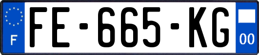 FE-665-KG