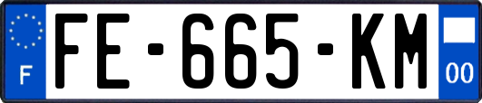 FE-665-KM