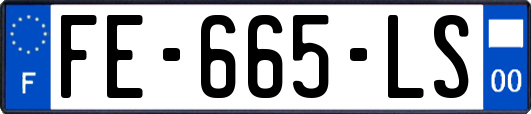 FE-665-LS
