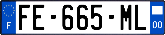 FE-665-ML
