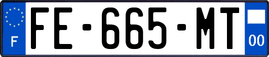 FE-665-MT
