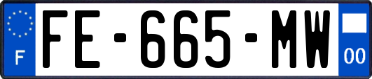 FE-665-MW