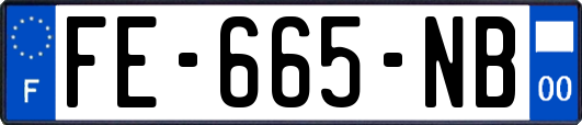 FE-665-NB