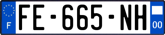 FE-665-NH