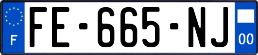 FE-665-NJ