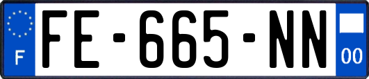 FE-665-NN