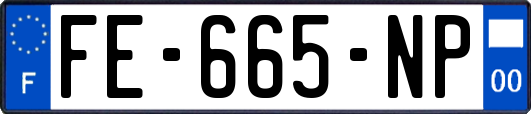 FE-665-NP