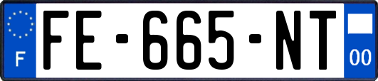 FE-665-NT
