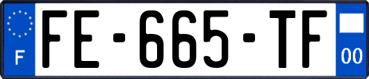 FE-665-TF