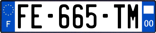 FE-665-TM
