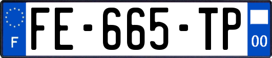 FE-665-TP