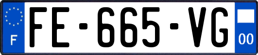 FE-665-VG