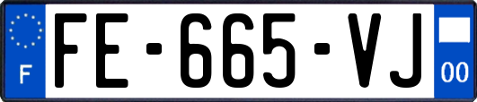 FE-665-VJ