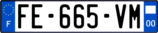 FE-665-VM