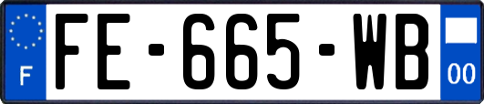 FE-665-WB