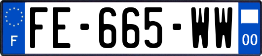 FE-665-WW