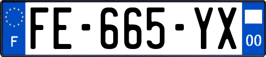FE-665-YX