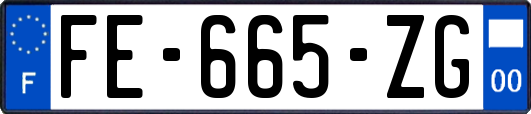 FE-665-ZG