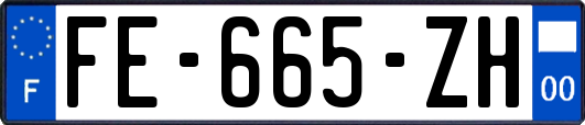 FE-665-ZH