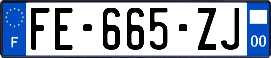 FE-665-ZJ