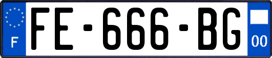 FE-666-BG