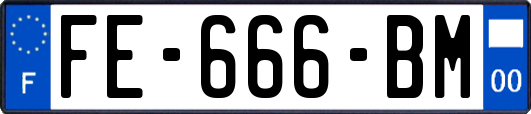 FE-666-BM
