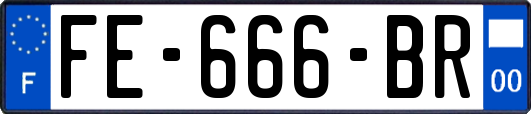 FE-666-BR