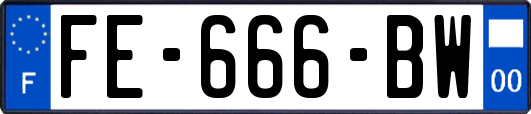FE-666-BW