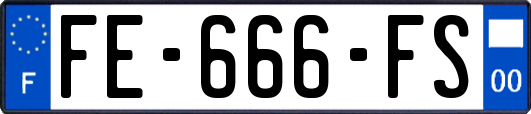 FE-666-FS