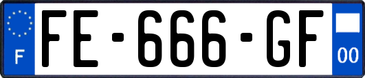 FE-666-GF