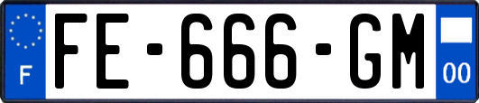 FE-666-GM